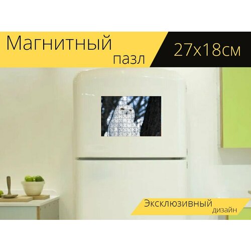 Магнитный пазл Сова, снежная сова, белый на холодильник 27 x 18 см.