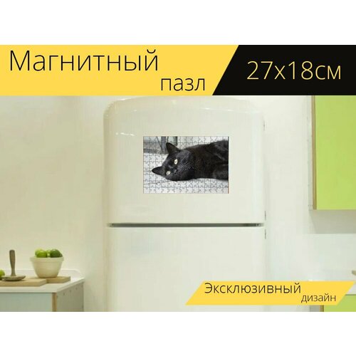 Магнитный пазл Портрет животных, кот, черный кот на холодильник 27 x 18 см.