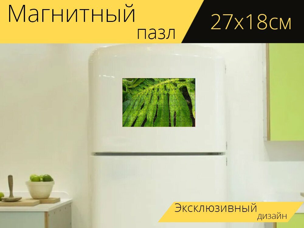 Магнитный пазл "Тропический лист, лист, тропический лес" на холодильник 27 x 18 см.