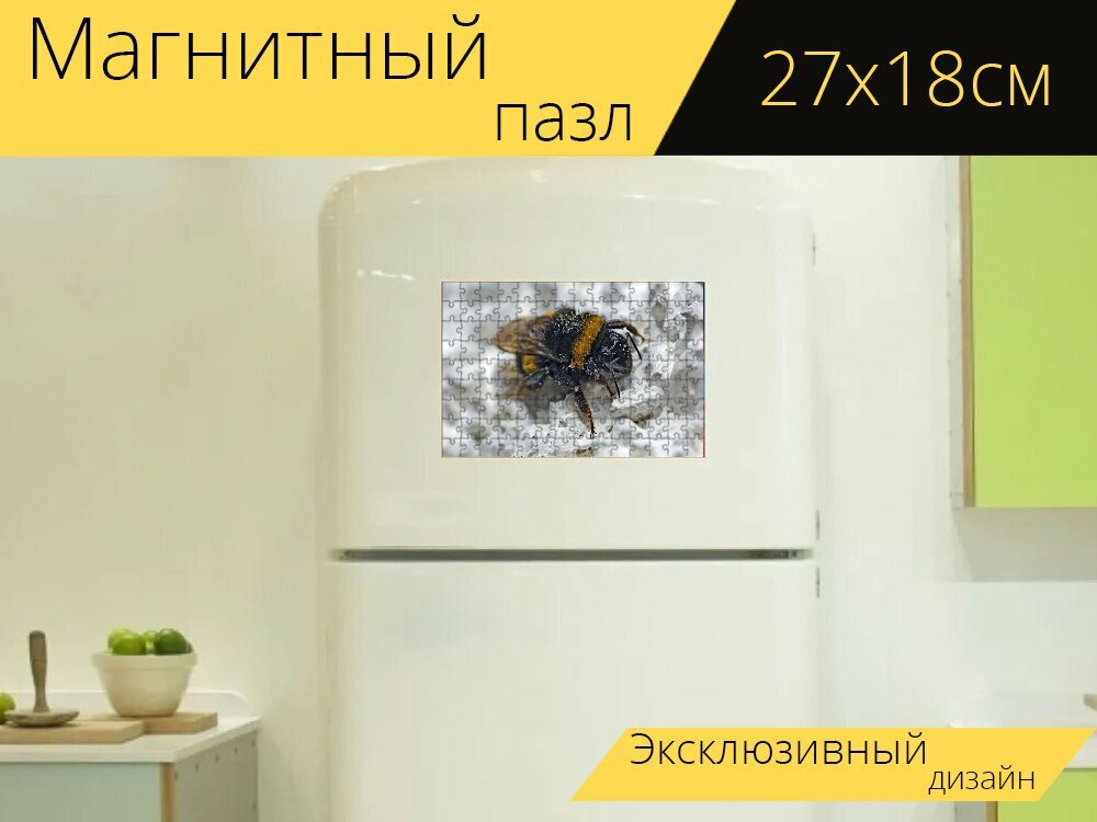 Магнитный пазл "Шмель, насекомое, перепончатокрылые" на холодильник 27 x 18 см.
