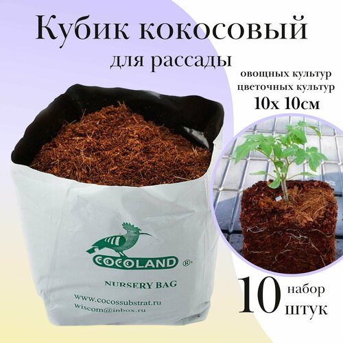 Кубик кокосовый 10 х 10 см для рассады, 10 штук