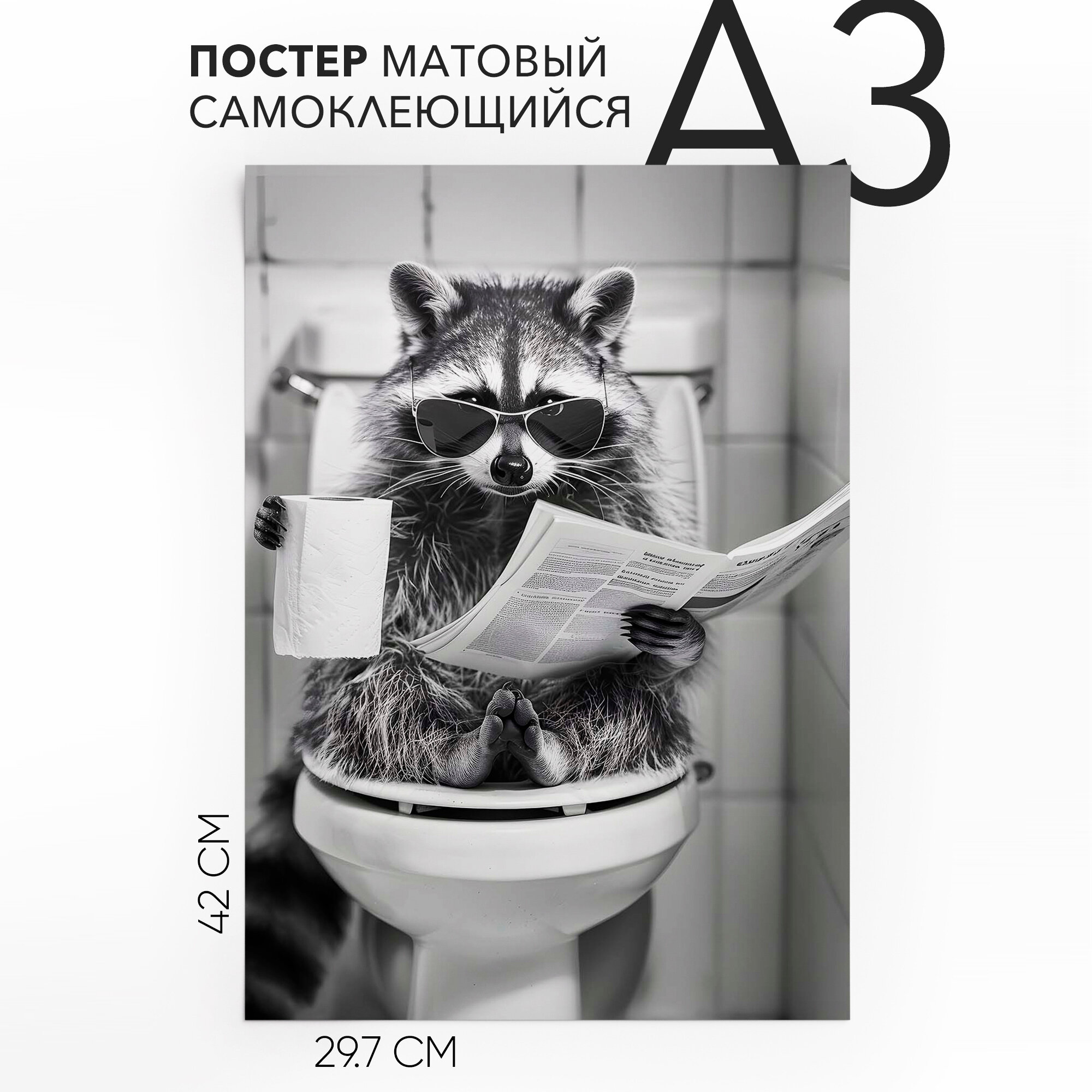 Картины постеры на стену самоклеящийся A3 Енот на унитазе, влагостойкий, для декора