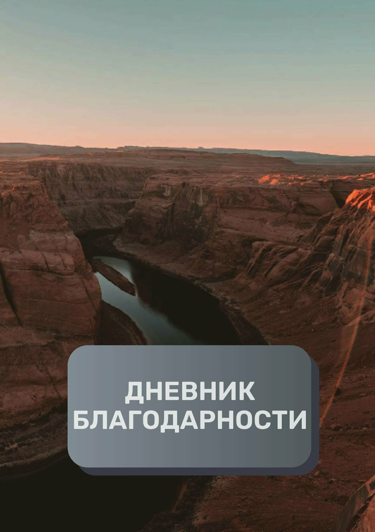 Дневник благодарности, премиум (подарочное) издание, 100 страниц