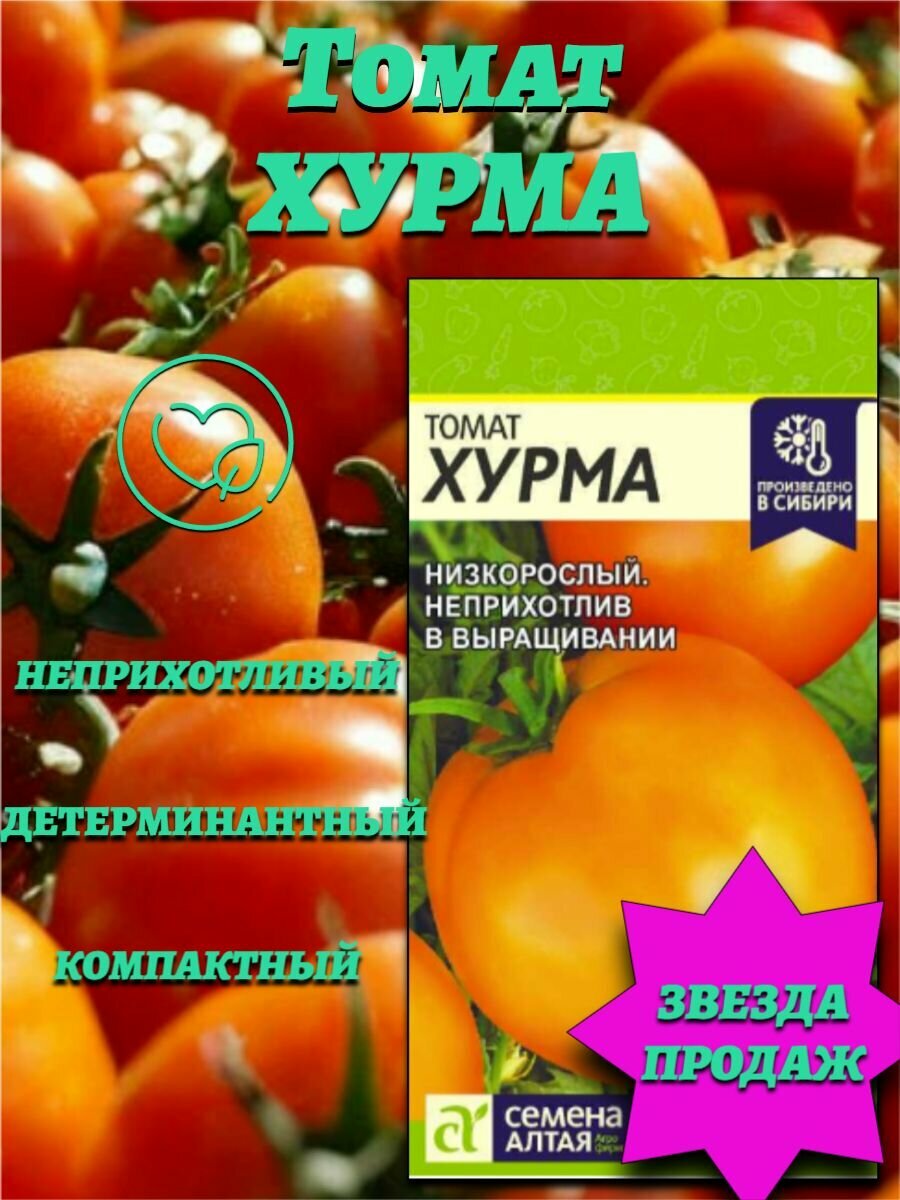 Томат Хурма (01гр). Детерминантный неприхотливый. Семена Алтая.