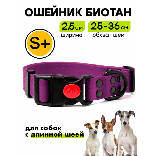 Ошейник из биотана 25-36 см (S+), 25 мм, Woofy "Iron" водостойкий, для небольших и средних собак, фиолетовый