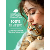 EVERYDAY TOFU BOX Зеленый чай 20 л растительный комкующийся натуральный наполнитель для кошачьих туалетов с ароматом зеленого чая
