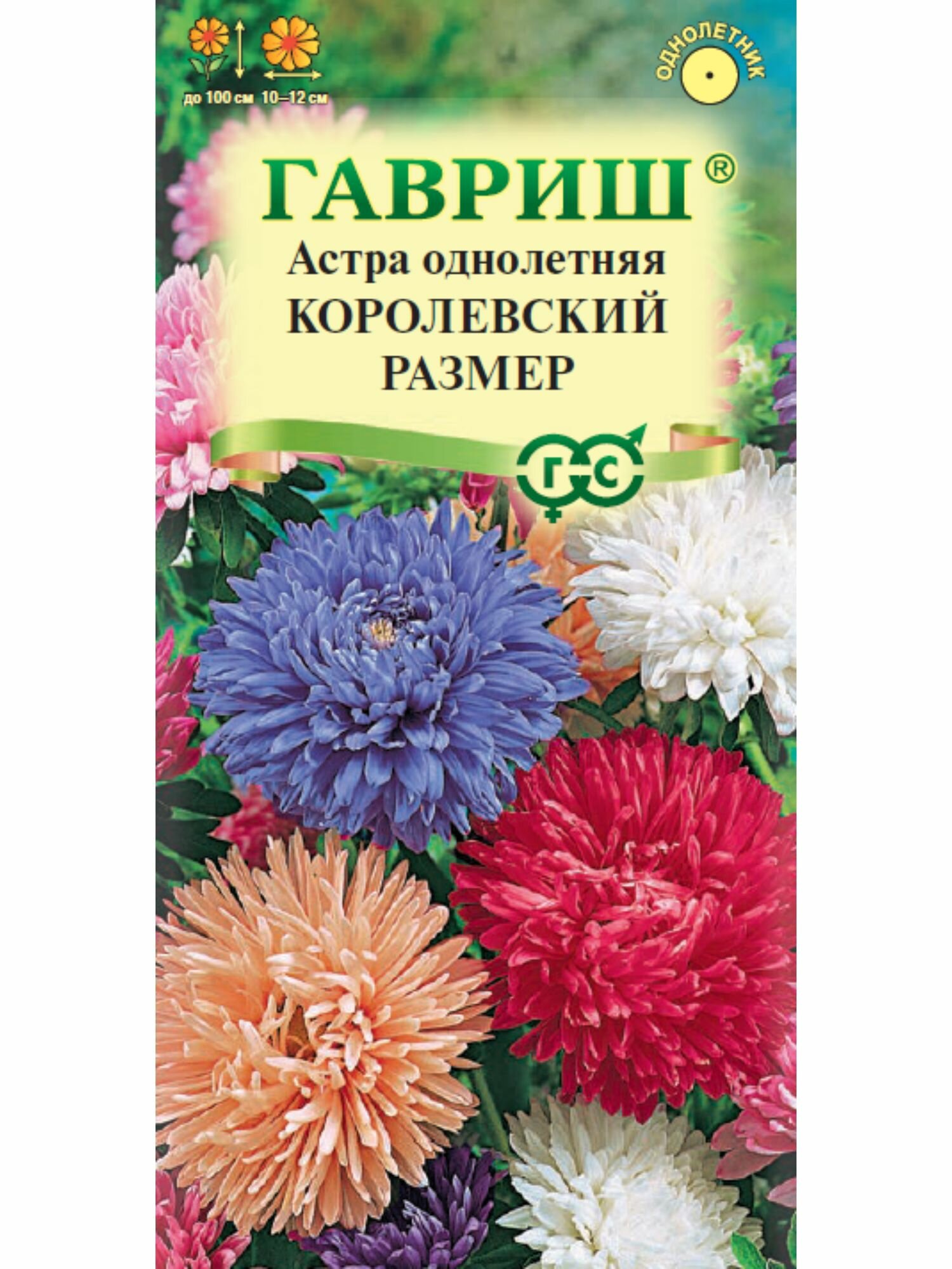 Семена цветов астра Королевский размер микс