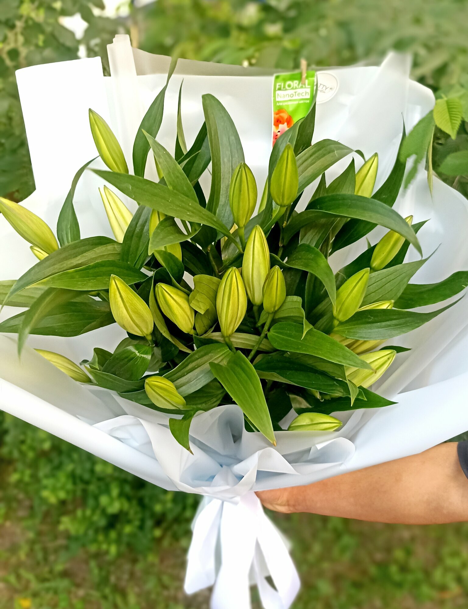 Букет живых цветов из белой махровой 3 шт. Лилии в подарок для любимых записка В подарок