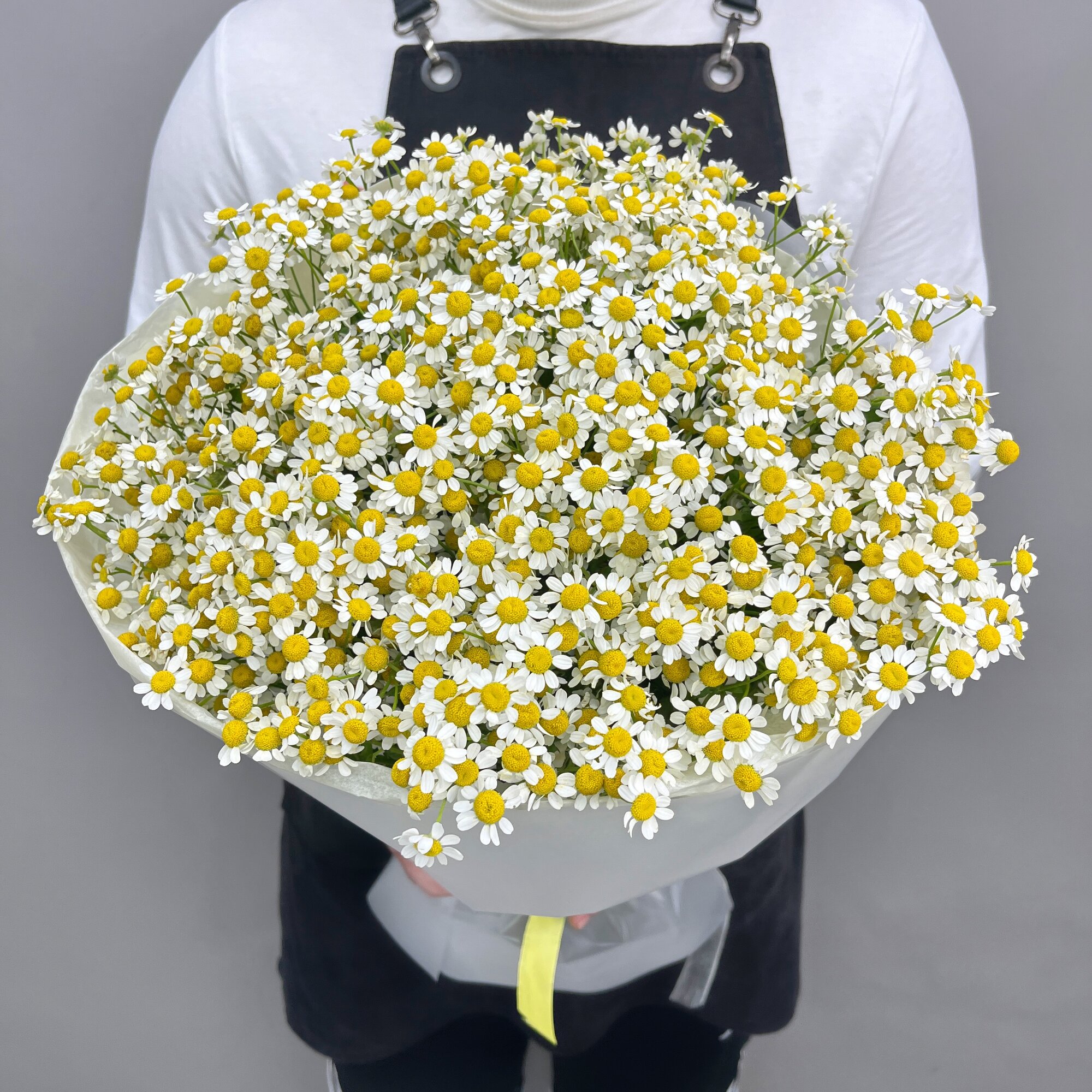 Ромашки кустовые Камилла в букете 15 штук 50 см Q153 Rozavam