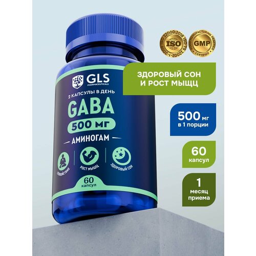 GABA 500 мг / габа с глицином, магнием и витамином В6, 60 капсул