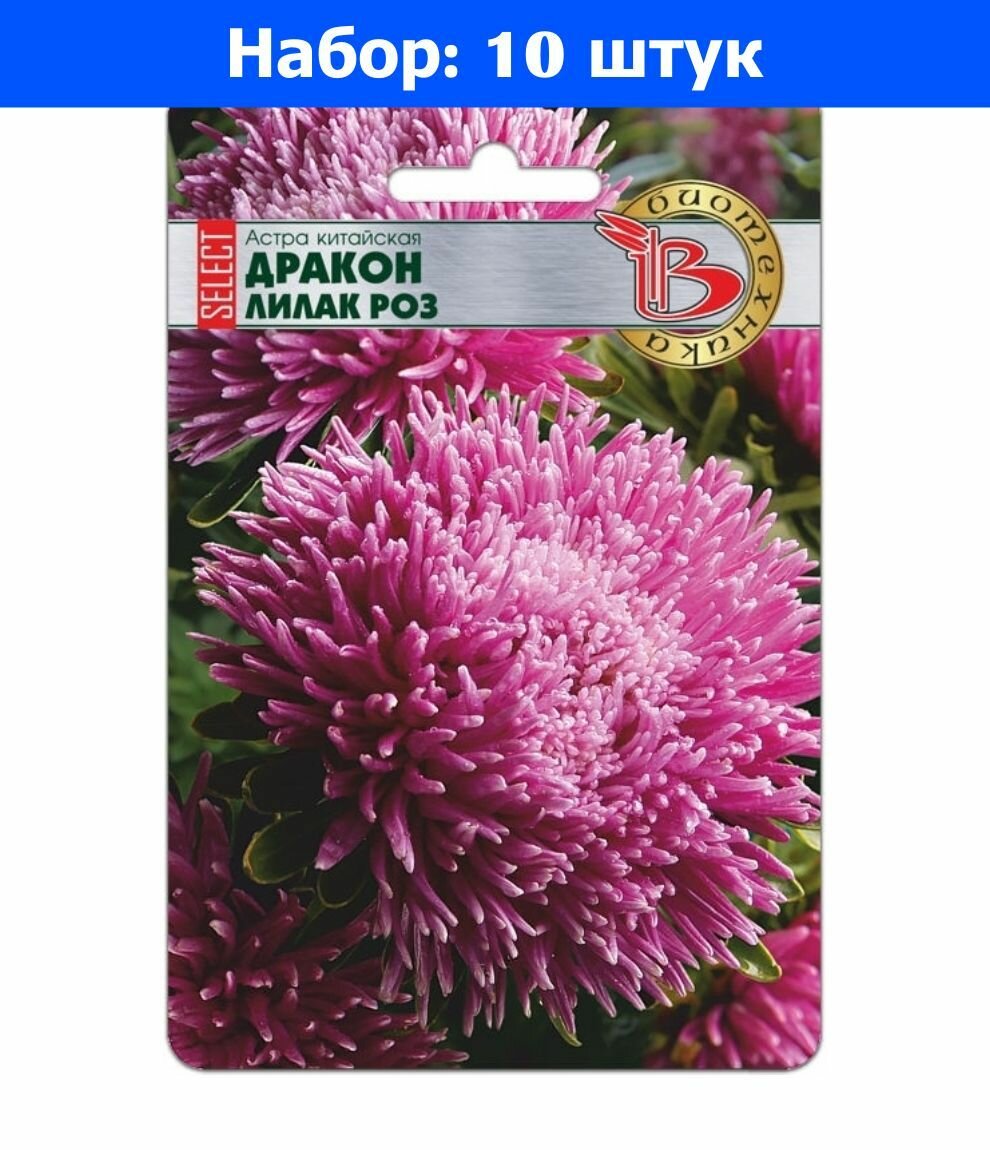 Астра Дракон селект Лилак Роуз китайская 30шт Одн 70см (Биотехника) - 10 пачек семян
