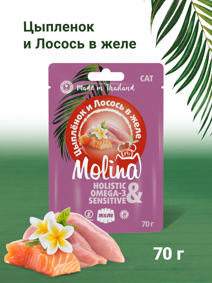 MOLINA, Влажный корм для кошек, Цыпленок и Лосось в желе, 70 г