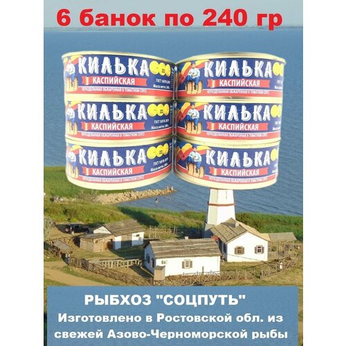 Килька каспийская обжаренная в томатном соусе, Соцпуть, 6 X 240 гр.