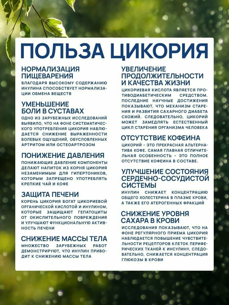 Цикорий сублимированный, "Бабушкин Хуторок", с черникой, 100г 2 шт - фотография № 4