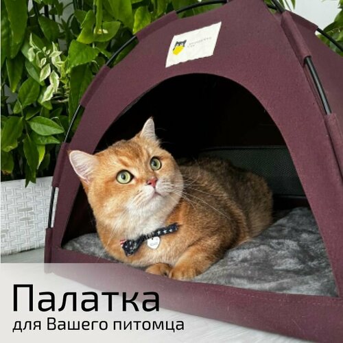 Домик - палатка для кошек, собак мелких пород, бордовая, 50х50х45