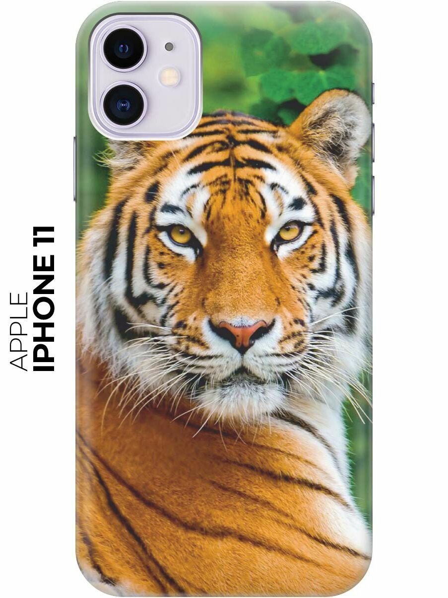 Силиконовый чехол на Apple iPhone 11 / Эпл Айфон 11 с рисунком "Портрет тигра"