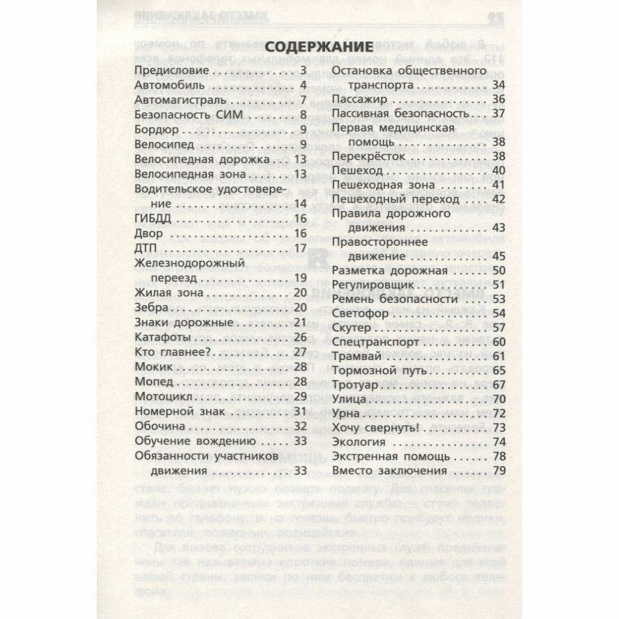 Дорожная грамота Начальная школа - фото №9