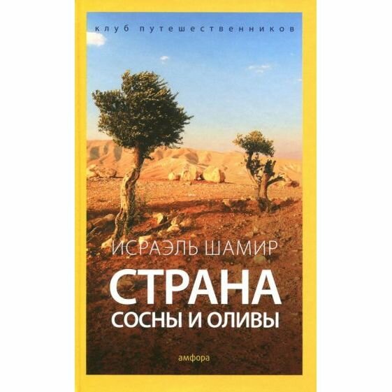 Страна сосны и оливы, или Неприметные прелести Святой земли - фото №2