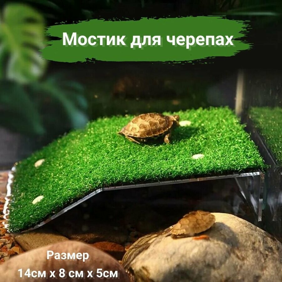 Аквариум для черепахи красноухой купить — купить по низкой цене на Яндекс  Маркете