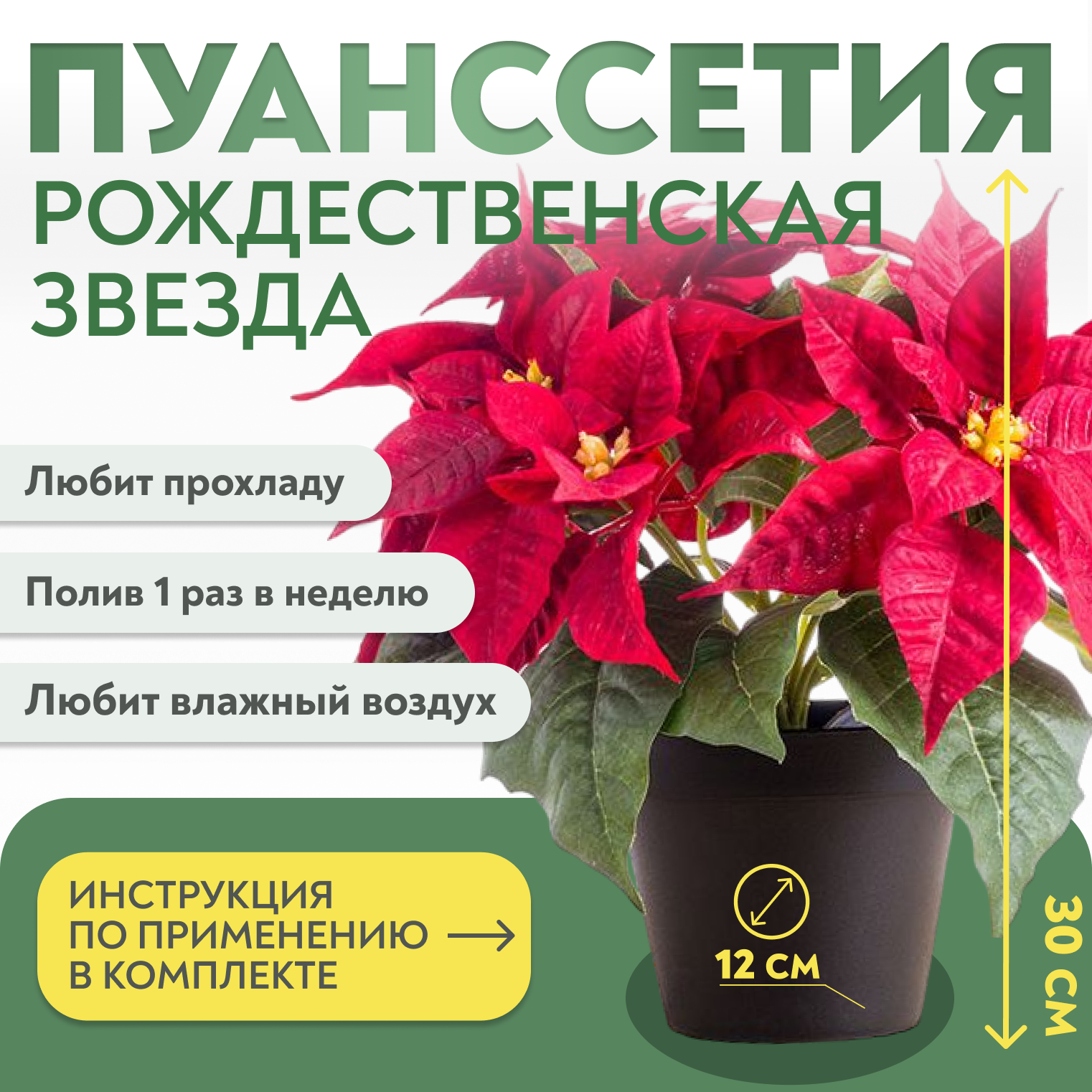 Рождественская звезда (Пуансеттия) (30 см)