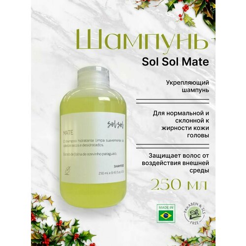 Sol Sol Mate Шампунь с экстрактом листьев падуба 250ml sol sol mate бессульфатный комплект для волос шампунь маска 250 250ml
