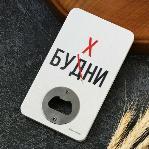Открывашка для пива Будни 8х138 см 502₽