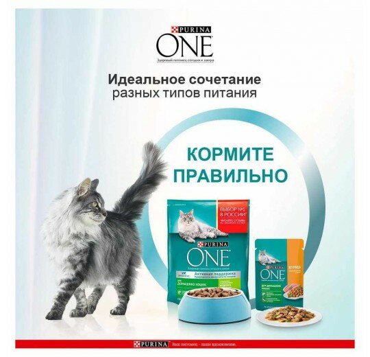 Корм для животных Purina, One, 75 г, для домашних кошек, курица, 0042057002. 363665 - фотография № 10