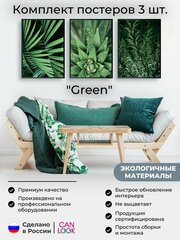 Постеры для интерьера "Green. Зеленые листья", постеры на стену 30х40 см, 3 шт.