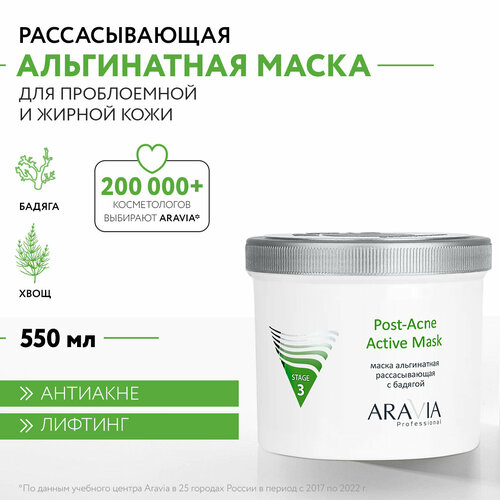 ARAVIA Маска для лица альгинатная рассасывающая с бадягой Post-Acne Active Mask, 550 мл aravia professional альгинатная рассасывающая маска с бадягой post acne active mask 550 мл aravia professional уход за лицом