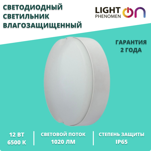 Светильник 12 Вт IP65 6500К светодиодный LT-LBWP-06-IP65-12W-6500К ...