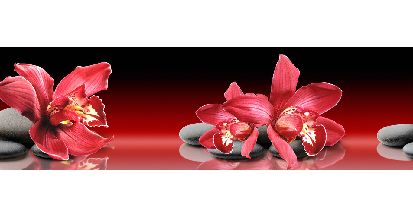 Кухонный фартук"Красные орхидеи на камнях 41" 2000*600мм, АБС пластик, фотопечать