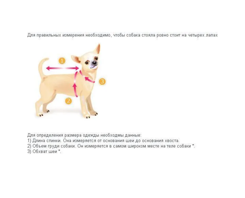 Толстовка для кошек и собак "MILIGOR", с капюшоном - фотография № 4