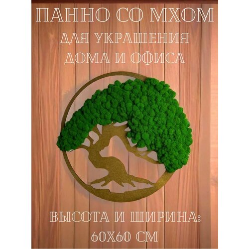 Панно с настоящими цветами на стену мох натуральный в декор