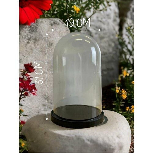 Декоративный Стеклянный клош Витрина для Фигурок Статуэток