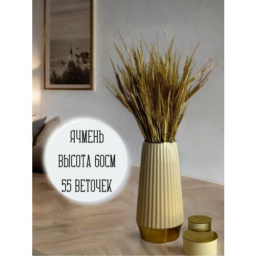 Ячмень натуральный для декора дизайна 55веток 60см