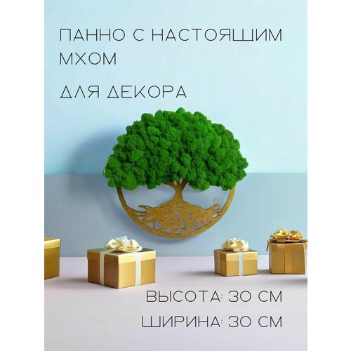 Панно с настоящим мхом для декора дома на стену, двери