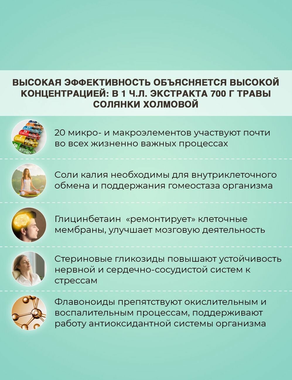 Препараты Для Лечения Вирусных Гепатитов Биолит Гепатосол экстракт травы солянки холмовой, 75 мл, БАД для печени, Природный гепатопротектор