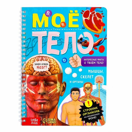 Книга с прозрачными страницами «Моё тело», 32 стр. книга с прозрачными страницами что мы знаем о космосе 32 стр