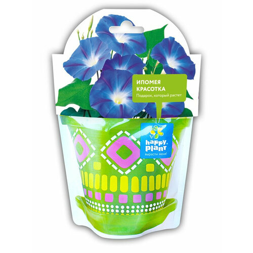 Набор для выращивания HAPPY PLANT Ипомея красотка, hpd-8