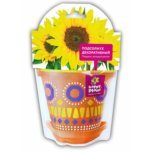 Набор для выращивания HAPPY PLANT Подсолнух декоративный, hpd-9