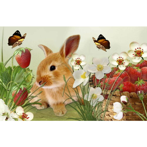 Алмазная картина 40х50 Кролик с клубникой с подрамником