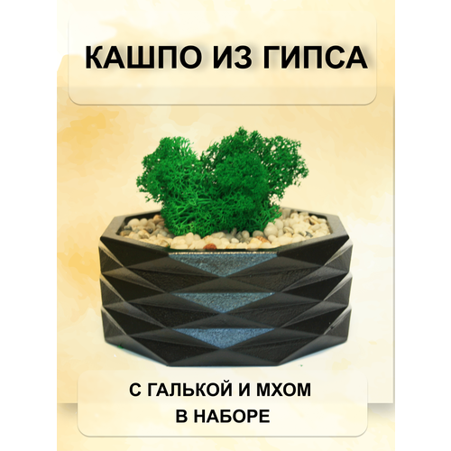 Кашпо с галькой и мхом