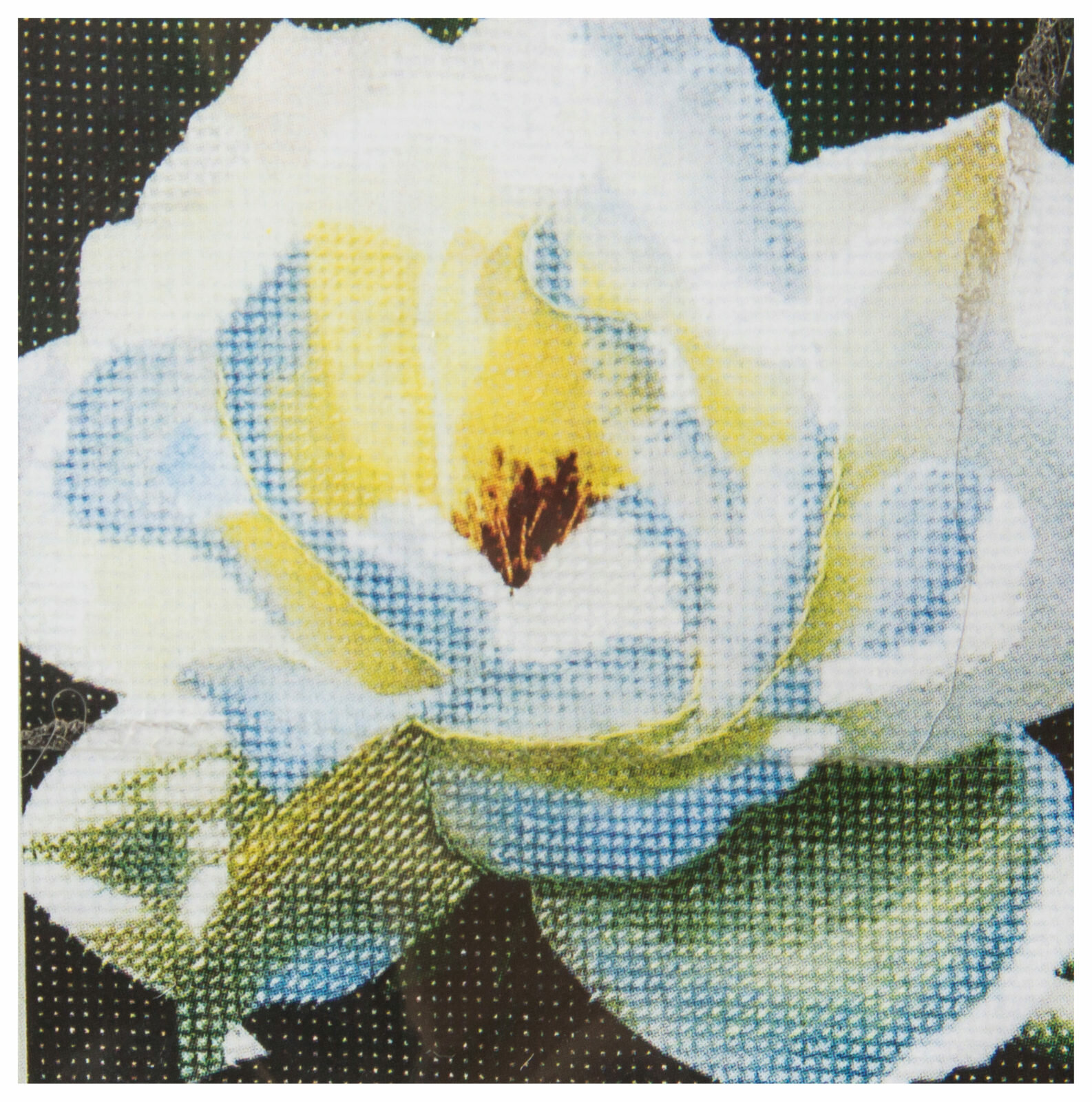 Набор для вышивания крестом Чаривна мить Белая роза, 11,5*11,5см