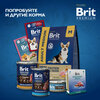 Фото #8 Brit Premium Dog Adult Medium сухой корм для взрослых собак средних пород (10-25 кг), с индейкой и телятиной - 3 кг