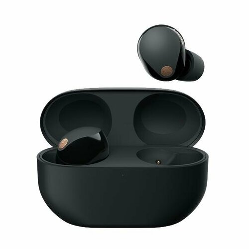 Беспроводные наушники Sony WF-1000XM5 Black Черный 107970₽