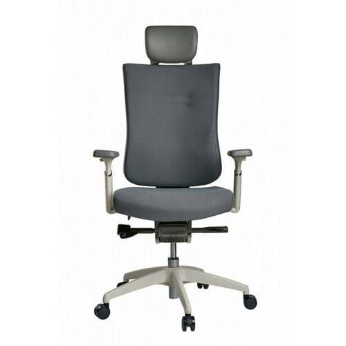 Функциональное кресло Schairs TONE-F01W, Цвет: серый