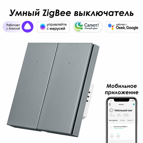 Умный Zigbee выключатель ROXIMO, двухкнопочный, серый, SZBTN01-2S датчик roximo zigbee szw08