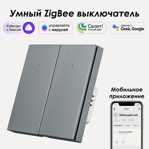 Изображение товара Умный Zigbee выключатель ROXIMO, двухкнопочный, серый, SZBTN01-2S