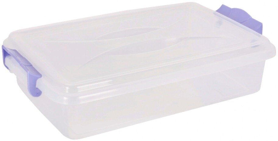 Контейнер для хранения продуктов Альтернатива М574 пластик, с крышкой прозрачный 35×23.5×8см объем 4.5л / емкость герметичная