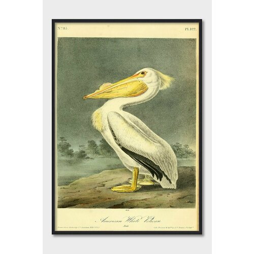 Постер для интерьера Postermarkt, 50х70 см в черной рамке, декор на стену Природа #50